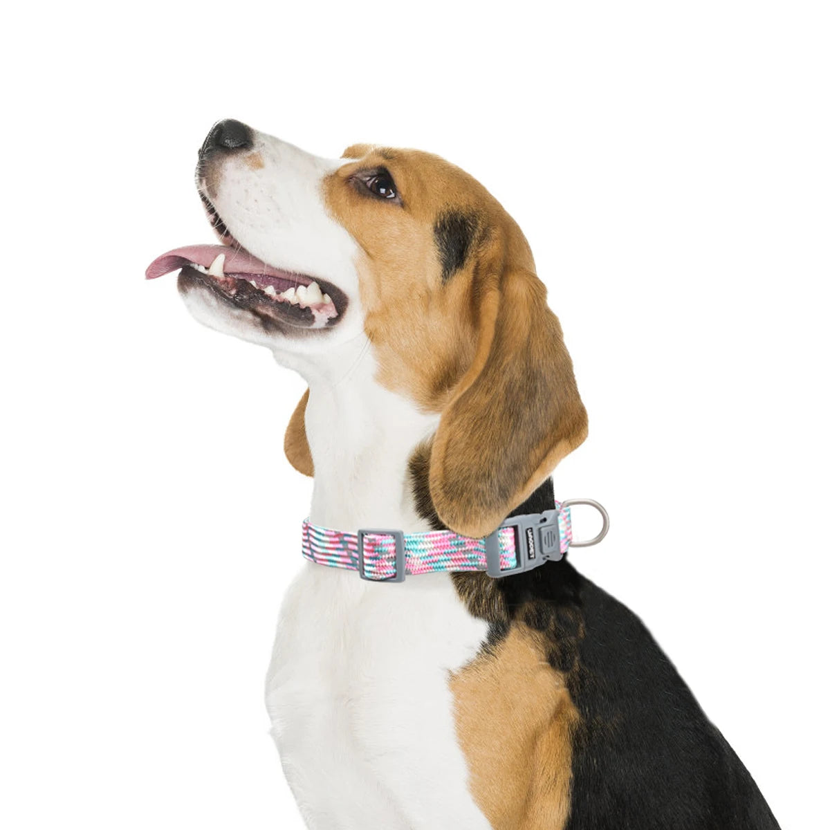 Reflective Adjustable Dog Collar – Anti-Lost Military Design