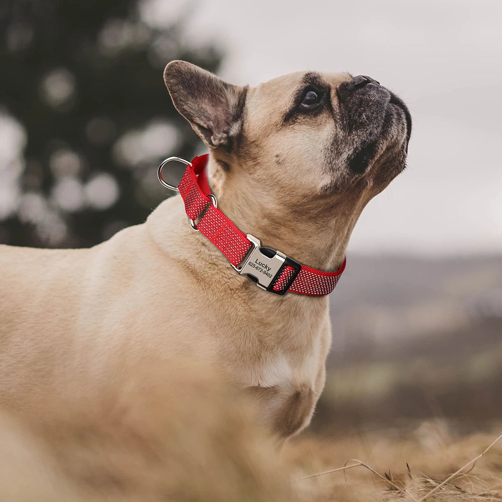 Custom Reflective Martingale Dog Collar – Adjustable Nylon