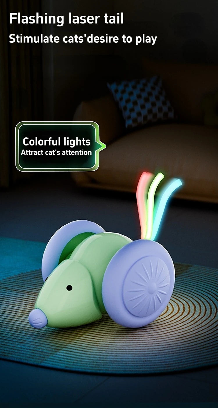 Interactive Cat Toy NZ | Electric Mouse Teaser with Obstacle Avoidance – PawNest