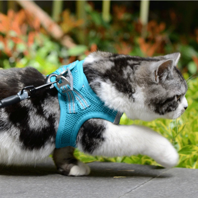 Adjustable Dog Harness Vest & Walking Leash NZ | Medium Dogs & Cats – PawNest