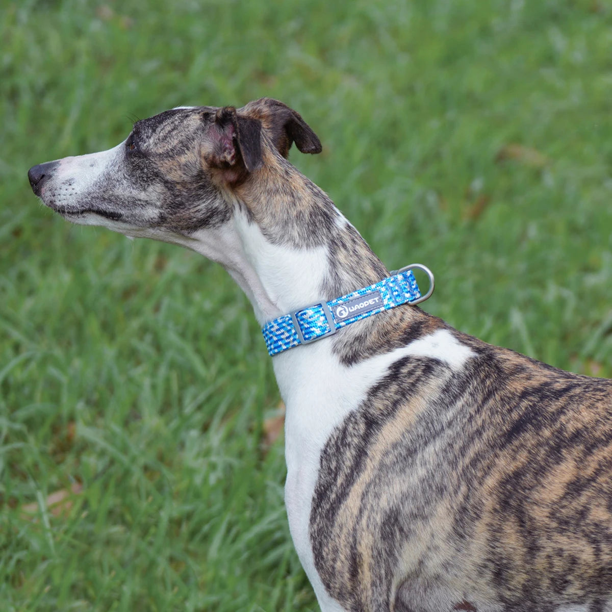 Reflective Adjustable Dog Collar – Anti-Lost Military Design