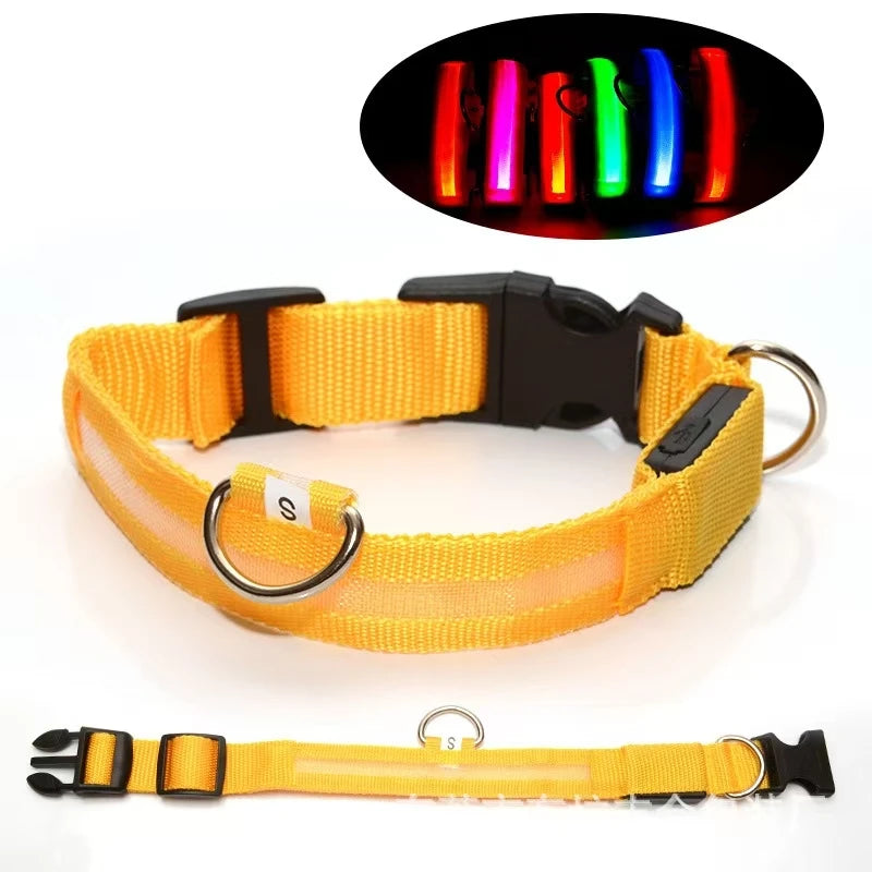 Reflective LED Dog Collar – Night Safety for Small & Medium Dogs