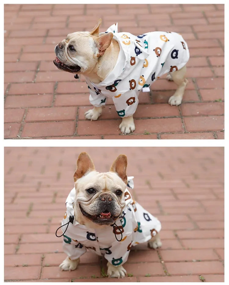 Waterproof Dog Raincoat NZ | Pug, French Bulldog, Poodle & Corgi Rain Jacket – PawNest
