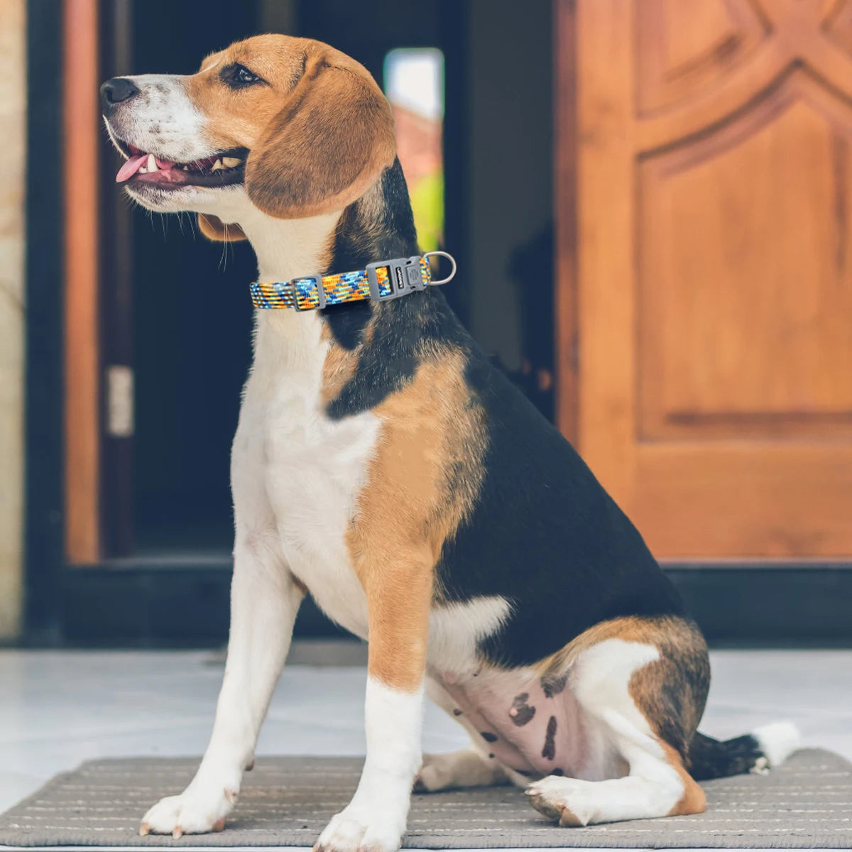 Reflective Adjustable Dog Collar – Anti-Lost Military Design