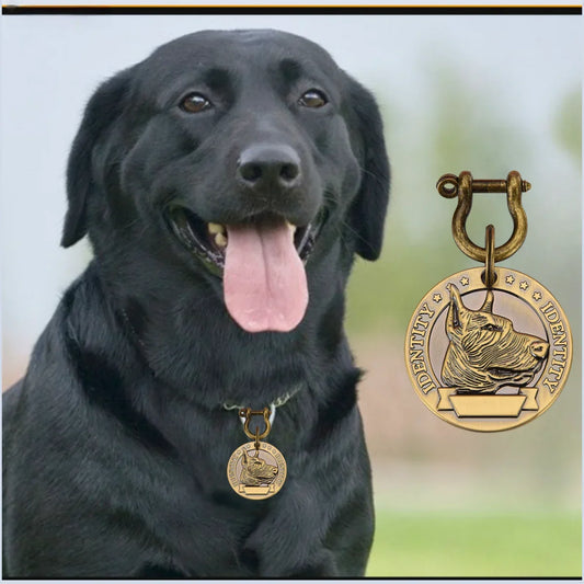 VIP Custom Engraved Pet ID Tag – Personalized Dog & Cat Nameplate