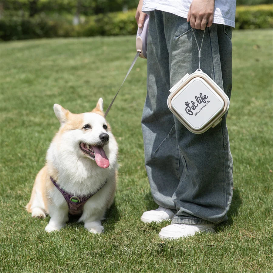 Madden Portable Double-Decker Dog & Cat Travel Bowl – Foldable