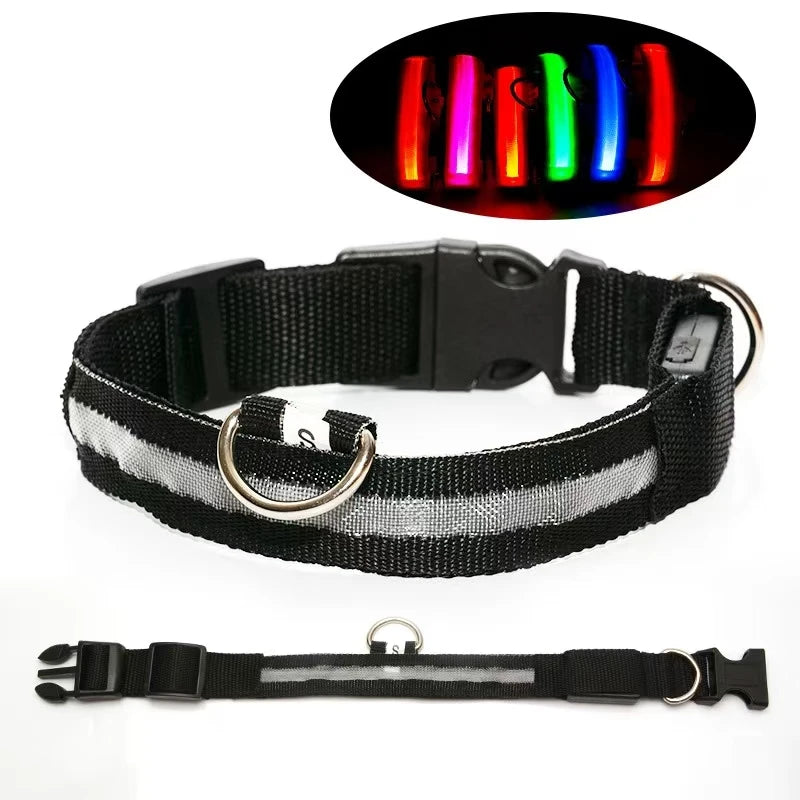 Reflective LED Dog Collar – Night Safety for Small & Medium Dogs