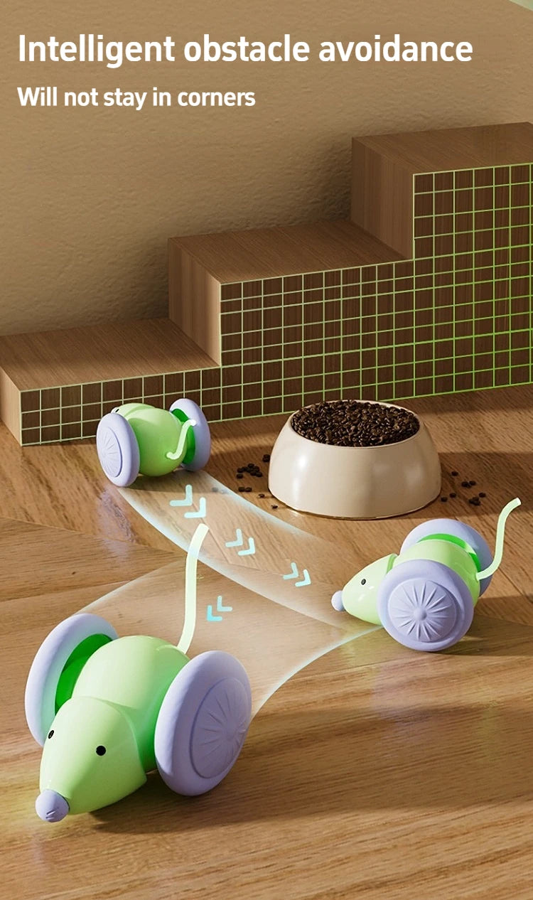 Interactive Cat Toy NZ | Electric Mouse Teaser with Obstacle Avoidance – PawNest