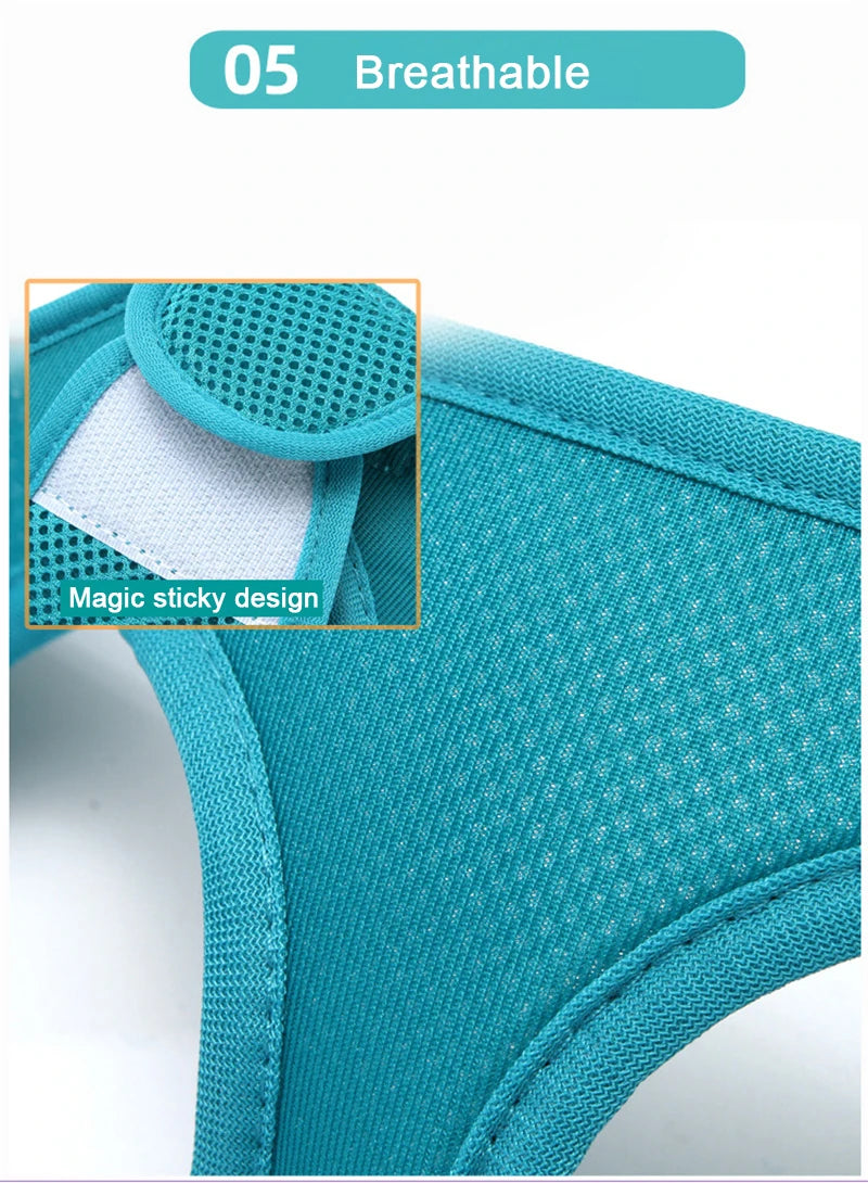 Adjustable Dog Harness Vest & Walking Leash NZ | Medium Dogs & Cats – PawNest