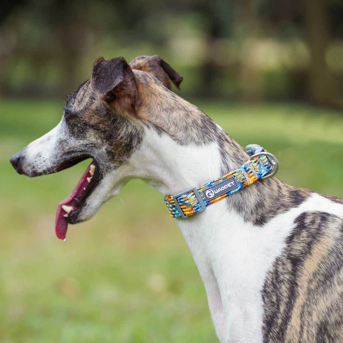 Reflective Adjustable Dog Collar – Anti-Lost Military Design