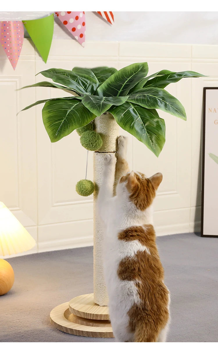 Cat Scratching Post NZ | Natural Sisal Rope Post with Hanging Balls & Wooden Track Toy – PawNest