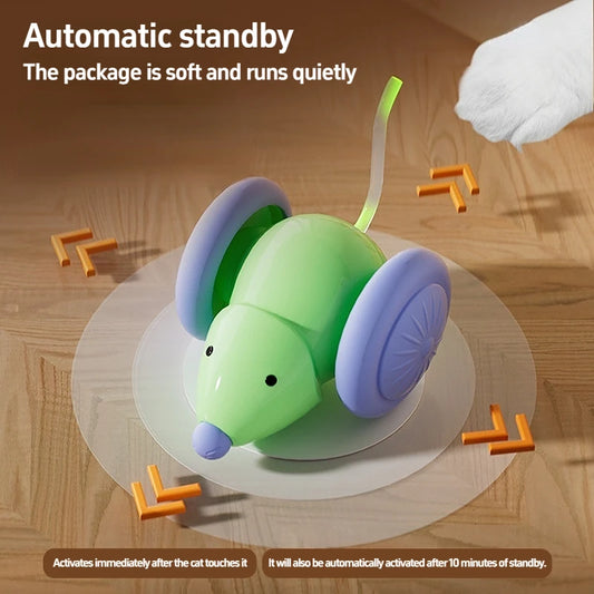 Interactive Cat Toy NZ | Electric Mouse Teaser with Obstacle Avoidance – PawNest