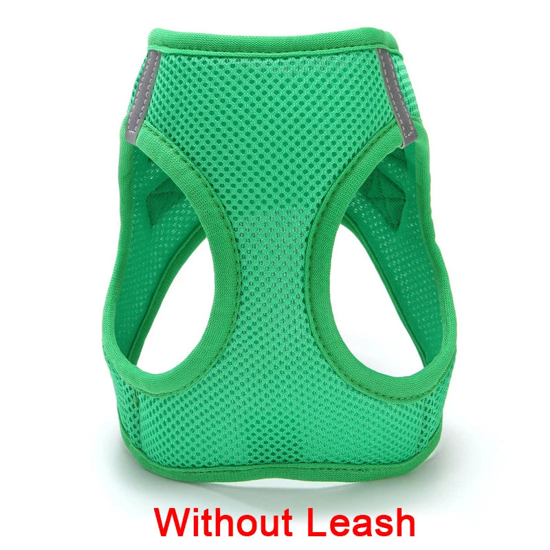 Adjustable Dog Harness Vest & Walking Leash NZ | Medium Dogs & Cats – PawNest