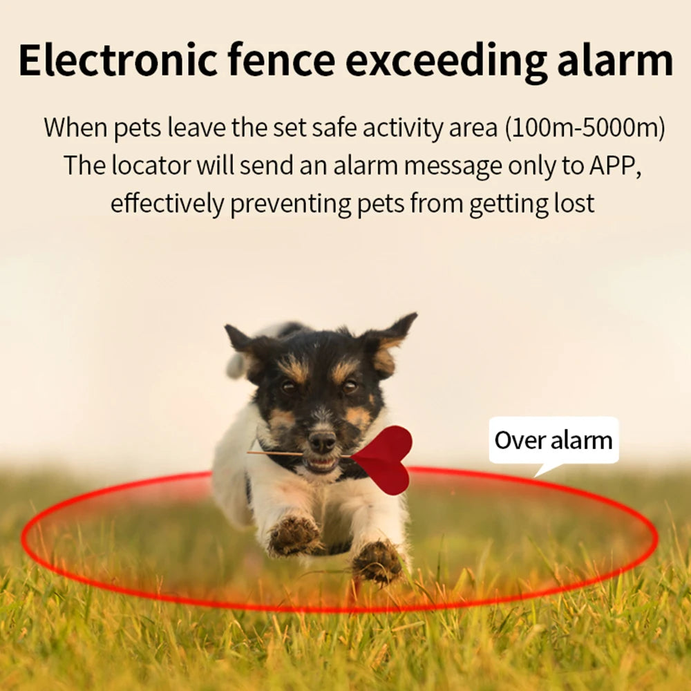 G12 GPS Smart Pet Collar NZ | Waterproof Anti-Lost Tracker for Pets, Kids & Elderly – PawNest