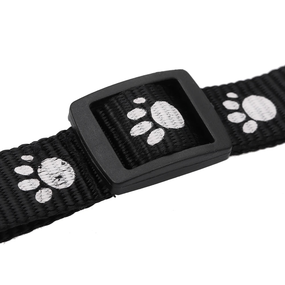 Smart GSM GPS Pet Tracker Collar NZ | IP67 Waterproof Real-Time Geo-Fence & SOS Anti-Lost Alarm – PawNest
