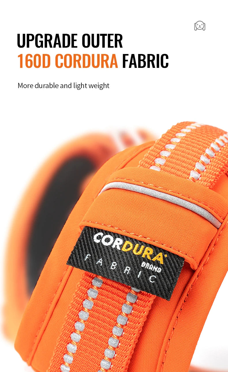 TrueLove No-Pull Reflective Dog Harness NZ | Adjustable & Comfortable Fit – PawNest