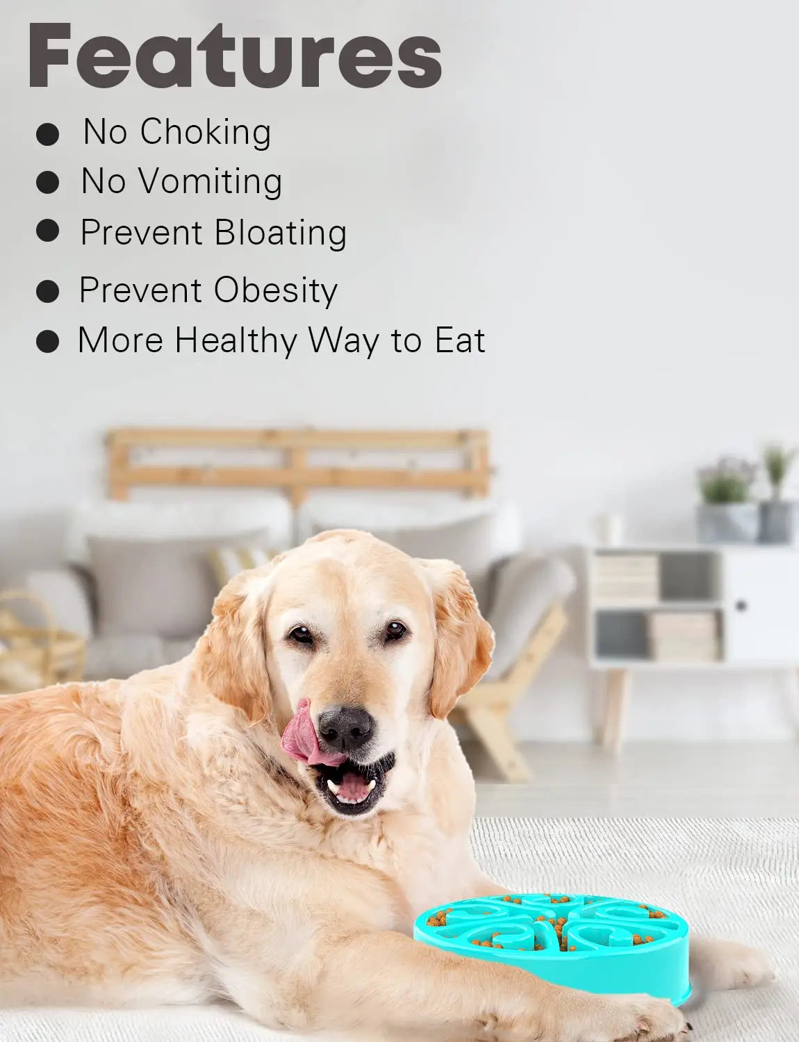 Eco-Friendly Slow Feeder Dog Bowl NZ | Non-Slip, Anti-Gulping Fun Feeding Bowl for All Dog Sizes – PawNest