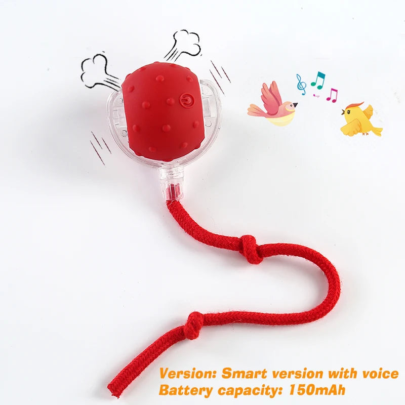 Smart Cat Toy – Interactive Automatic Moving Electric Toy