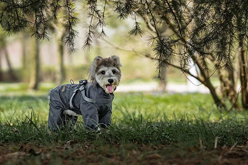 Waterproof Dog Raincoat with Harness NZ | Reflective Adjustable Jumpsuit for Small & Medium Dogs – PawNest