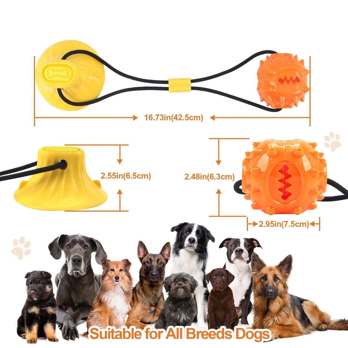 Dog Chew Toy Balls NZ | Rubber Teeth Cleaning & Treat Dispensing Balls for Dogs & Cats – PawNest
