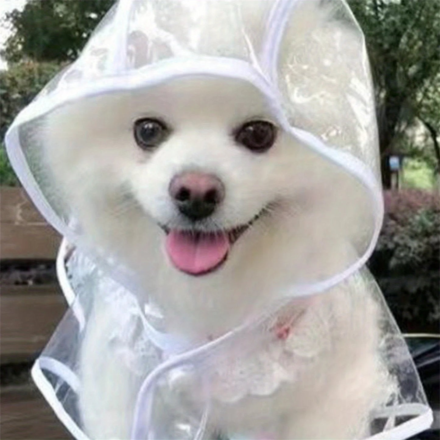 Clear PVC Dog Raincoat NZ | Waterproof Poncho with Snap Closure for Medium Breeds – PawNest