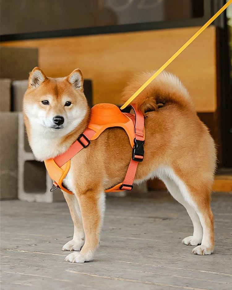 Breathable Explosion-Proof Dog Harness NZ | Adjustable Vest for Medium & Large Dogs Outdoor Training – PawNest