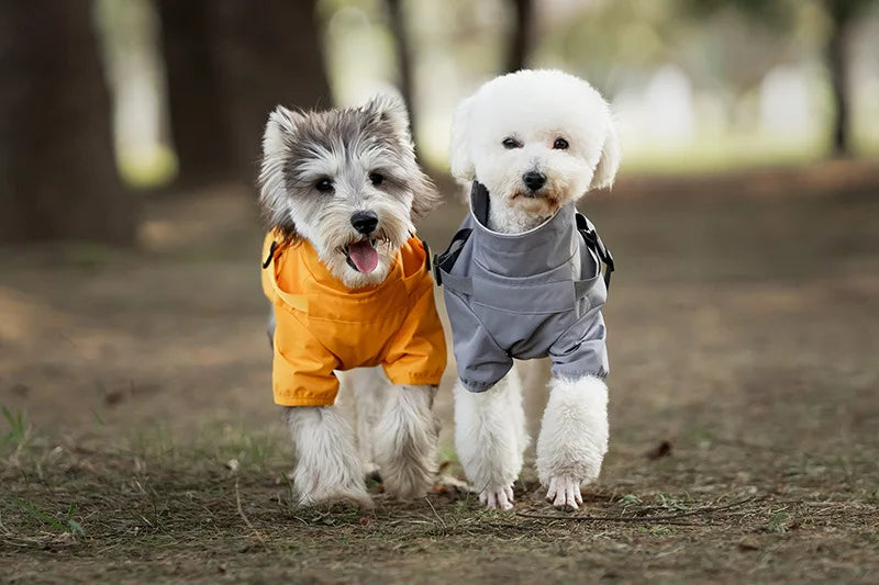 Reflective Waterproof Dog Raincoat NZ | Outdoor Spring Hoodie for Small & Medium Dogs – Rain Protection & Safety