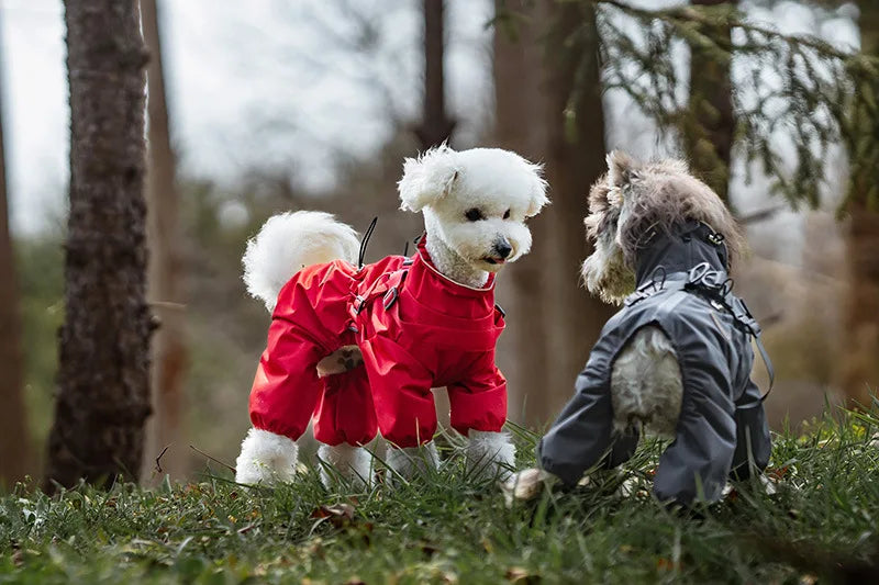Waterproof Dog Raincoat with Harness NZ | Reflective Adjustable Jumpsuit for Small & Medium Dogs – PawNest