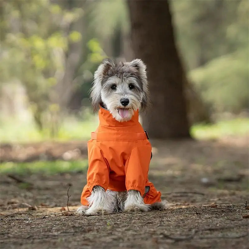 Waterproof Dog Raincoat with Harness NZ | Reflective Adjustable Jumpsuit for Small & Medium Dogs – PawNest