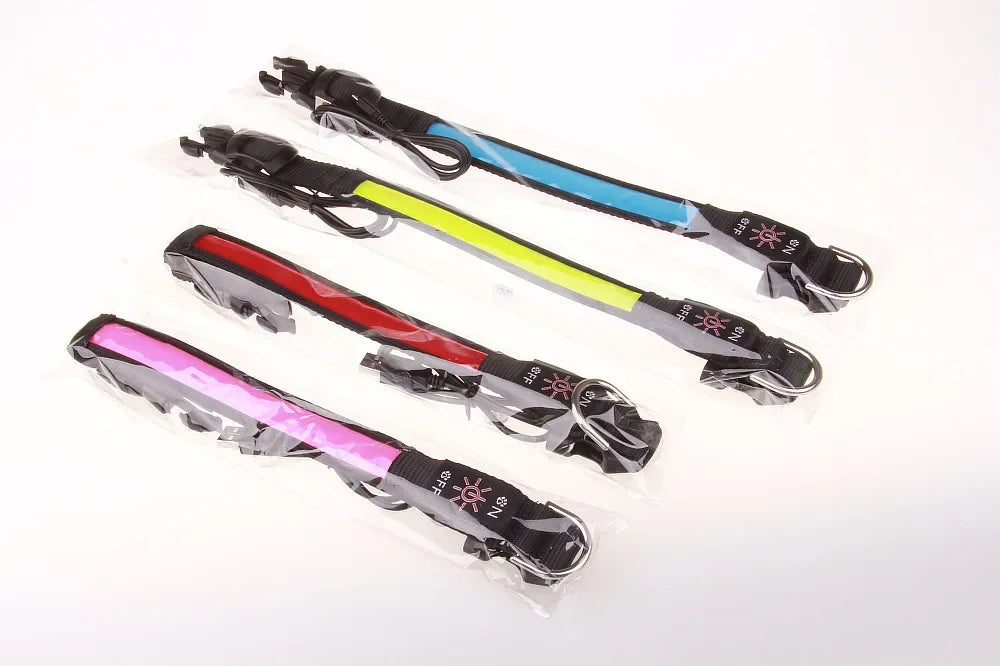 LED Glowing Dog Collar – USB Rechargeable Flashing Light