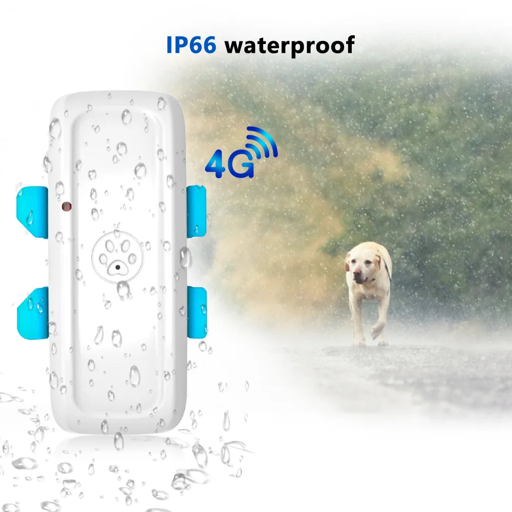 4G Pet GPS Tracker TK911Pro NZ | Real-Time Dog & Animal Finder with Geo-fence & Free App – PawNest