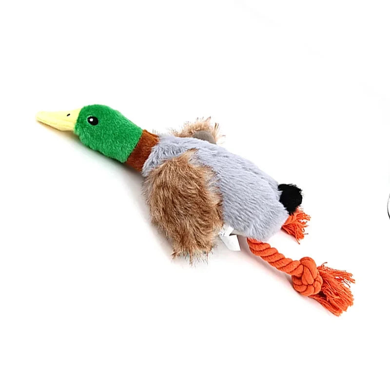 Dog Chew Toy Plush Duck NZ | Squeaky Sound Toy for Teeth Cleaning & Interactive Play – PawNest
