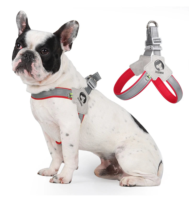 Adjustable Reflective Dog Harness NZ | Mesh Vest for Small & Large Dogs & Cats – PawNest