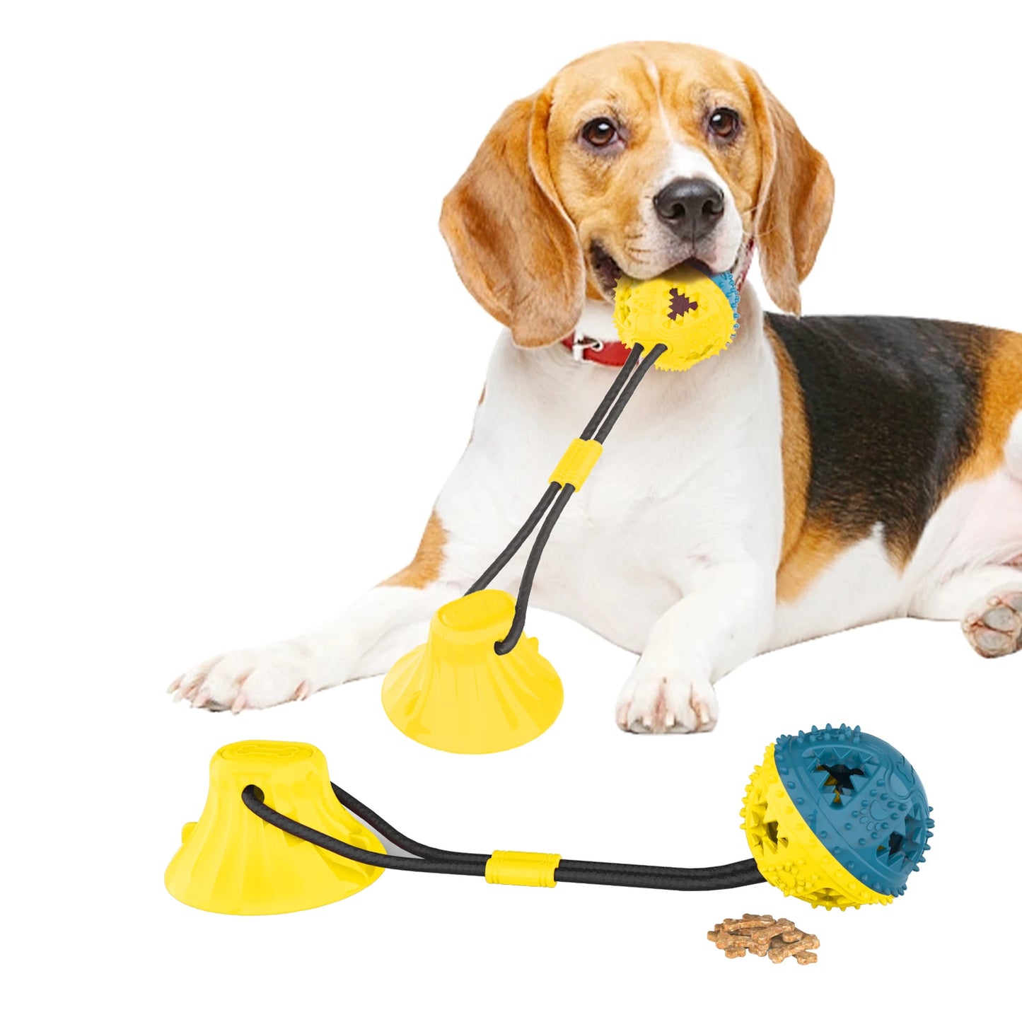 Dog Chew Toy Balls NZ | Rubber Teeth Cleaning & Treat Dispensing Balls for Dogs & Cats – PawNest