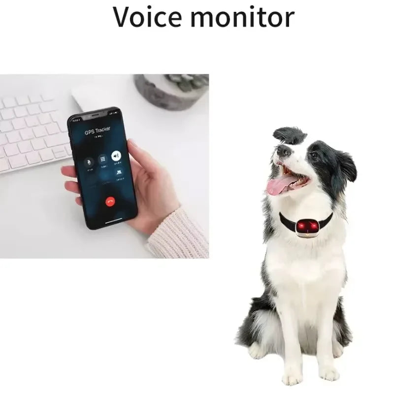 4G Mini GPS Pet Tracker NZ | Waterproof Real-Time Locator with LED & Two-Way Voice for Cats & Dogs – PawNest