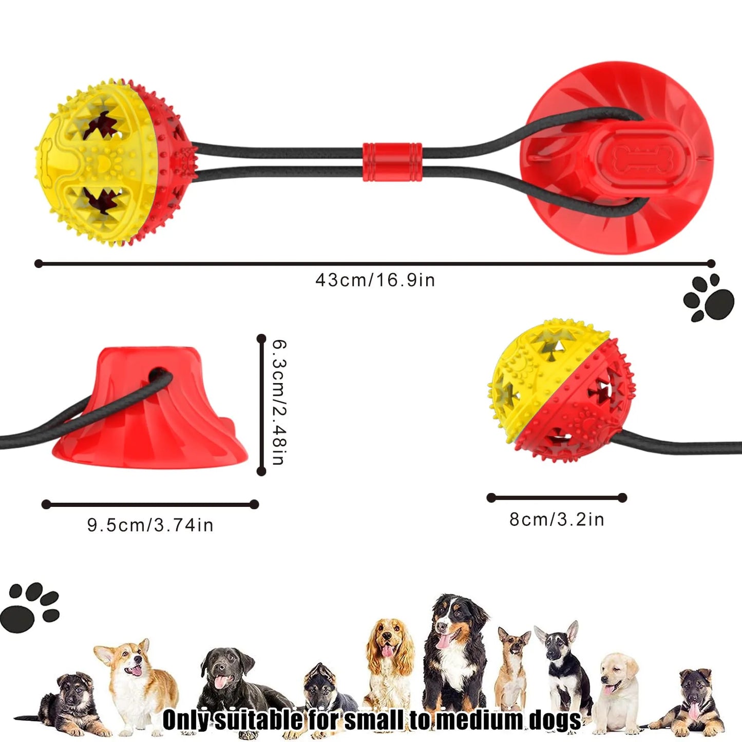 Dog Chew Toy Balls NZ | Rubber Teeth Cleaning & Treat Dispensing Balls for Dogs & Cats – PawNest