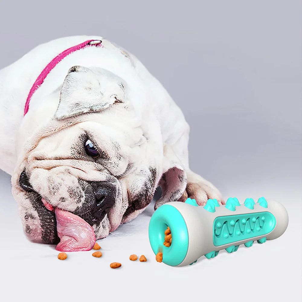 Dog Chew Toy & Treat Dispenser NZ | Interactive Teeth Cleaning Toy for Small & Large Dogs – PawNest