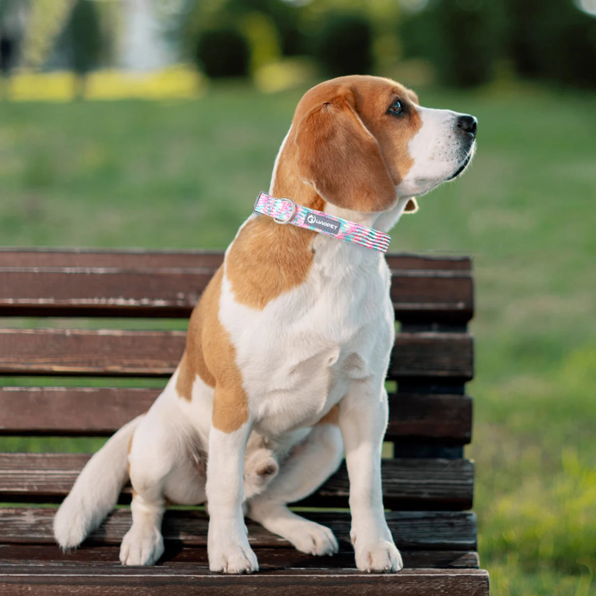 Reflective Adjustable Dog Collar – Anti-Lost Military Design
