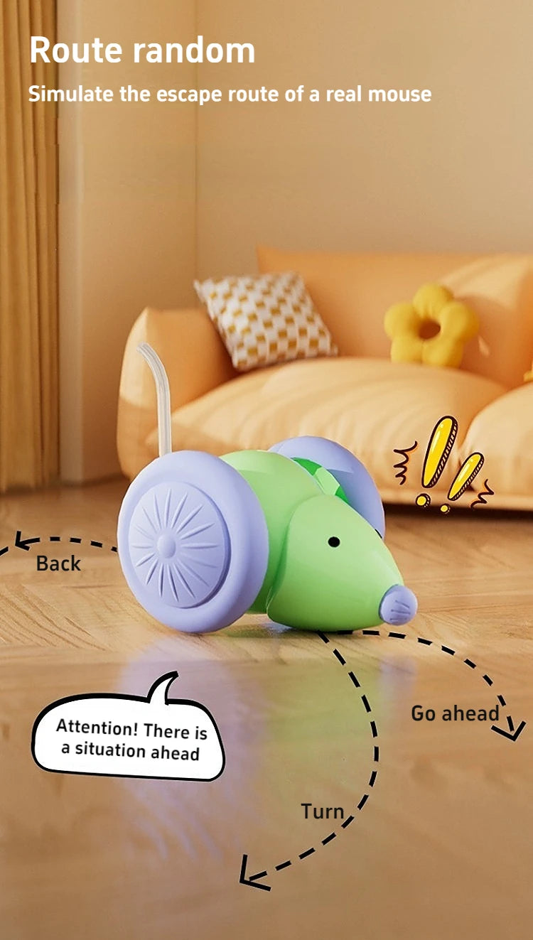 Interactive Cat Toy NZ | Electric Mouse Teaser with Obstacle Avoidance – PawNest