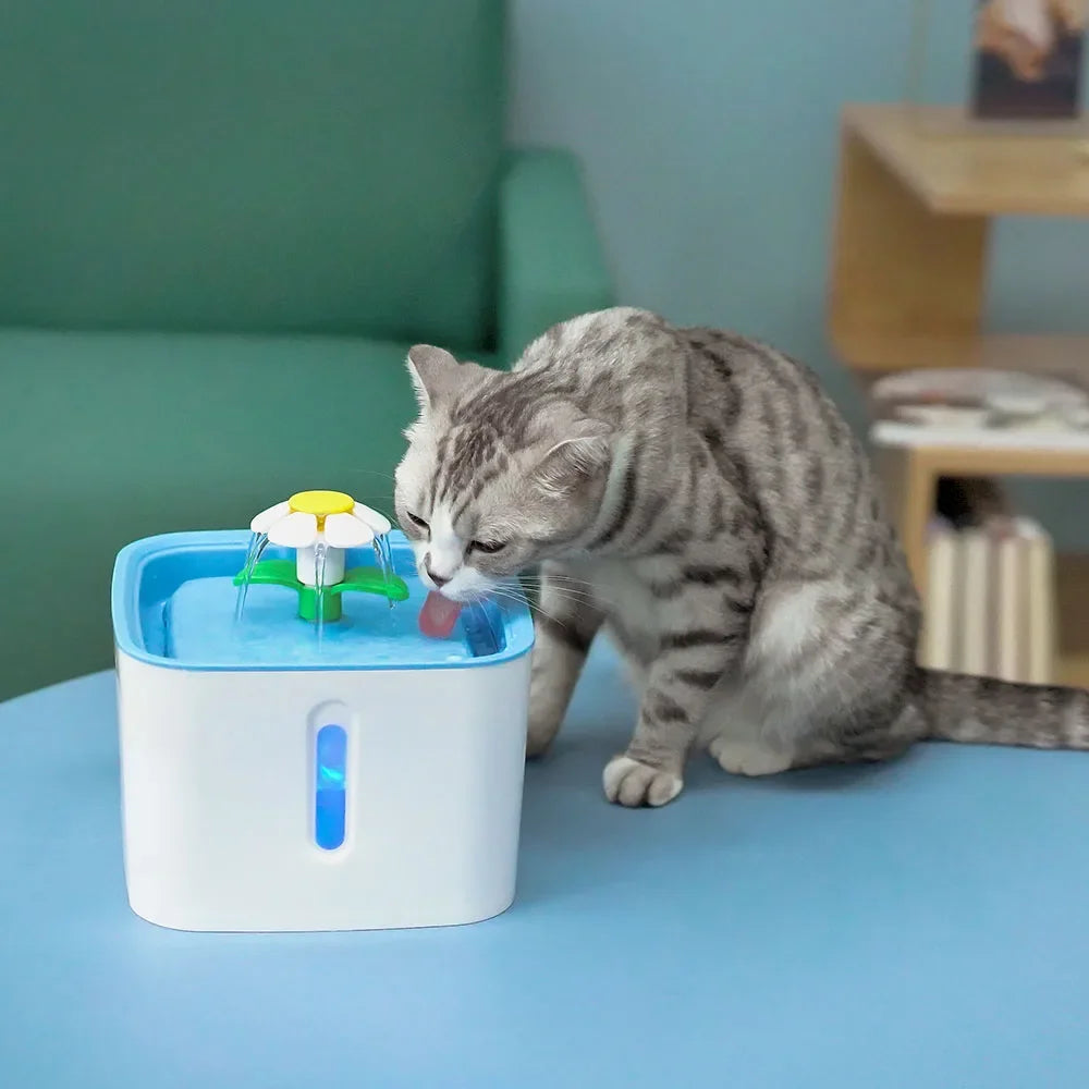 Petsafe Automatic Pet Water Fountain NZ | Filtered Cat & Dog Water Dispenser – PawNest