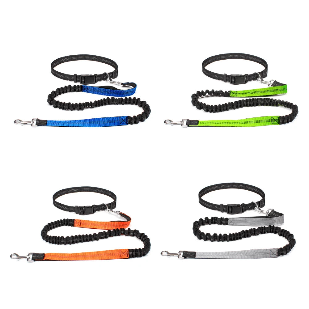 Hands-Free Dog Leash NZ | Adjustable Waist Belt & Chest Strap for Running, Walking & Jogging with Pets