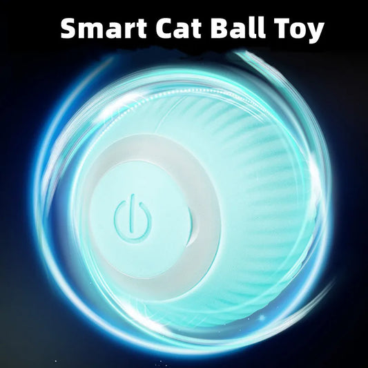 Electric Rolling Cat Ball Toy – Smart Interactive Cat Toy NZ | PawNest
