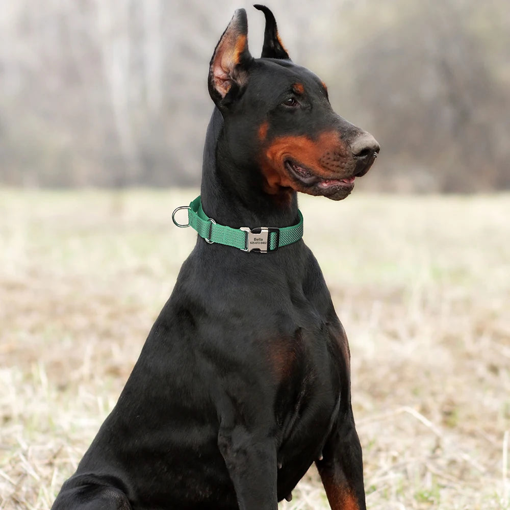 Custom Reflective Martingale Dog Collar – Adjustable Nylon