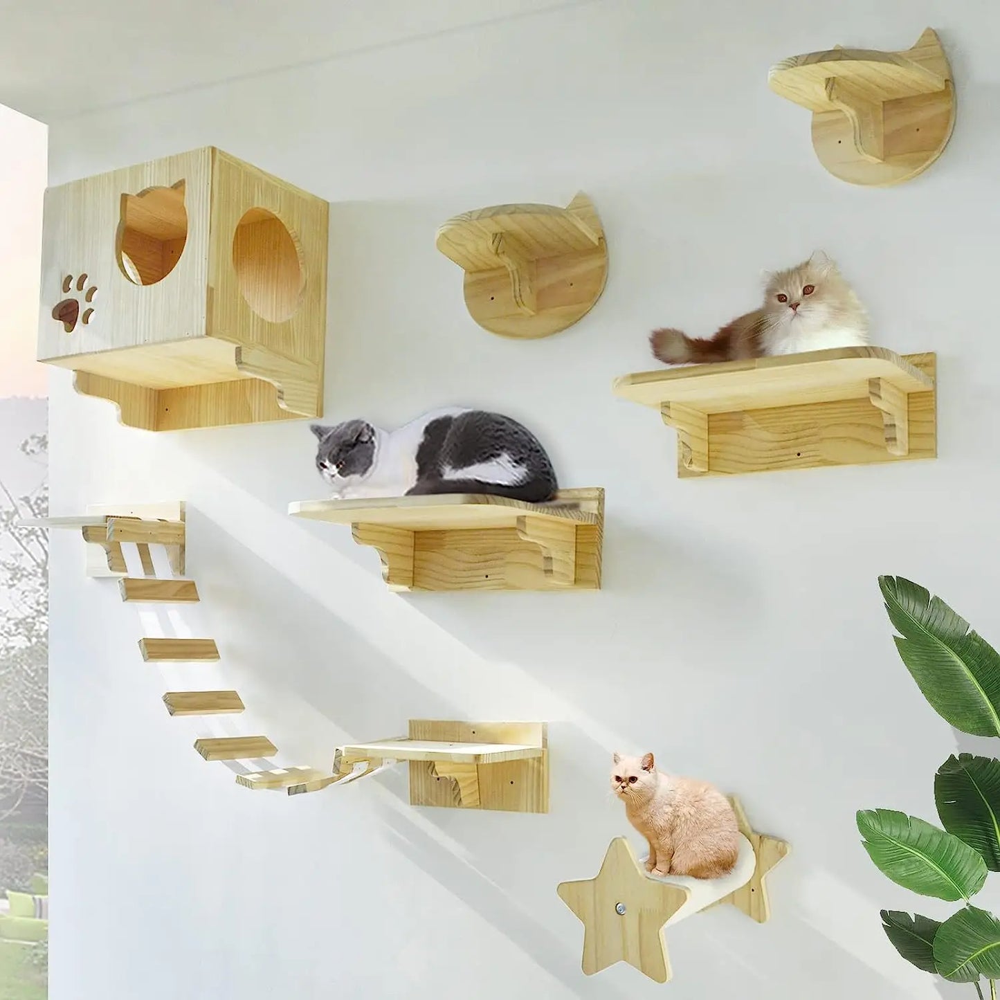 Cat Climbing Shelf Furniture NZ | Wall-Mounted Wooden Cat Shelves & Scratching Perches – PawNest