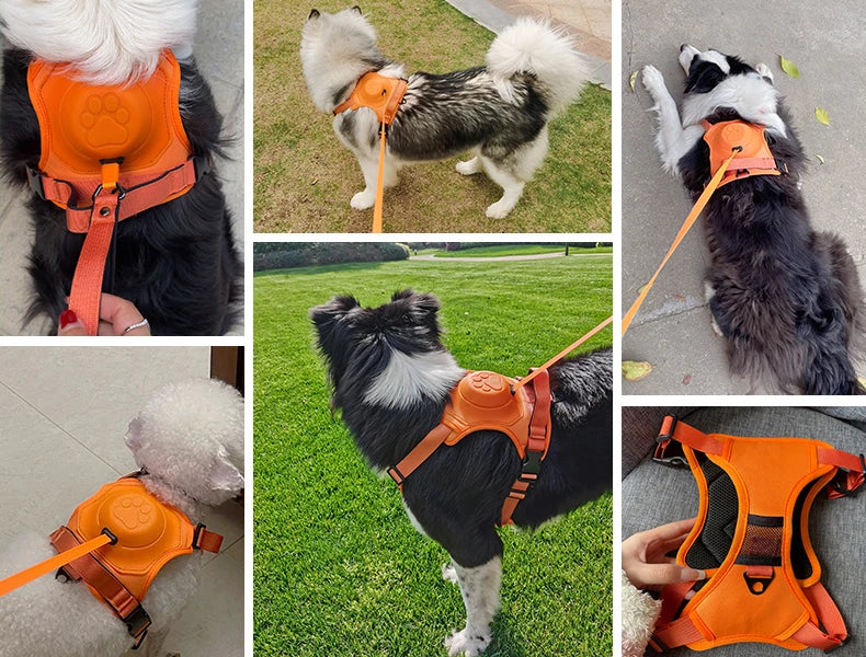 Breathable Explosion-Proof Dog Harness NZ | Adjustable Vest for Medium & Large Dogs Outdoor Training – PawNest
