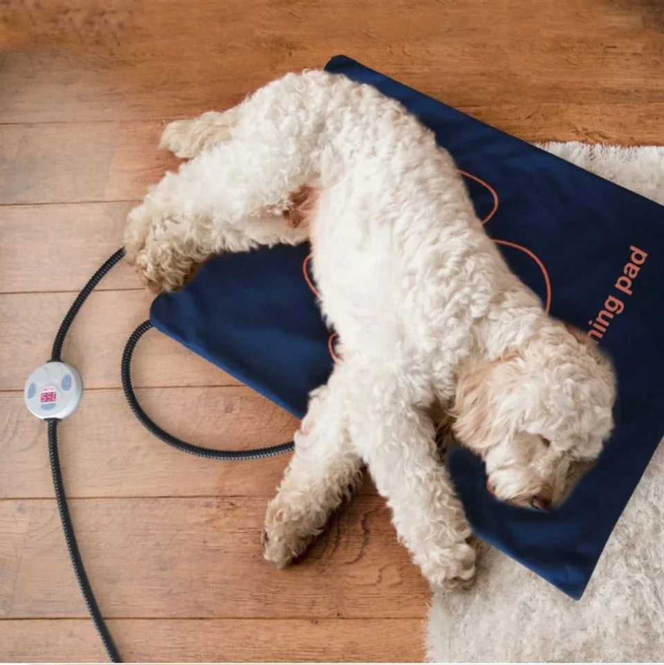 45×60cm Electric Pet Heating Pad NZ | Waterproof Adjustable Dog & Cat Warmer – PawNest