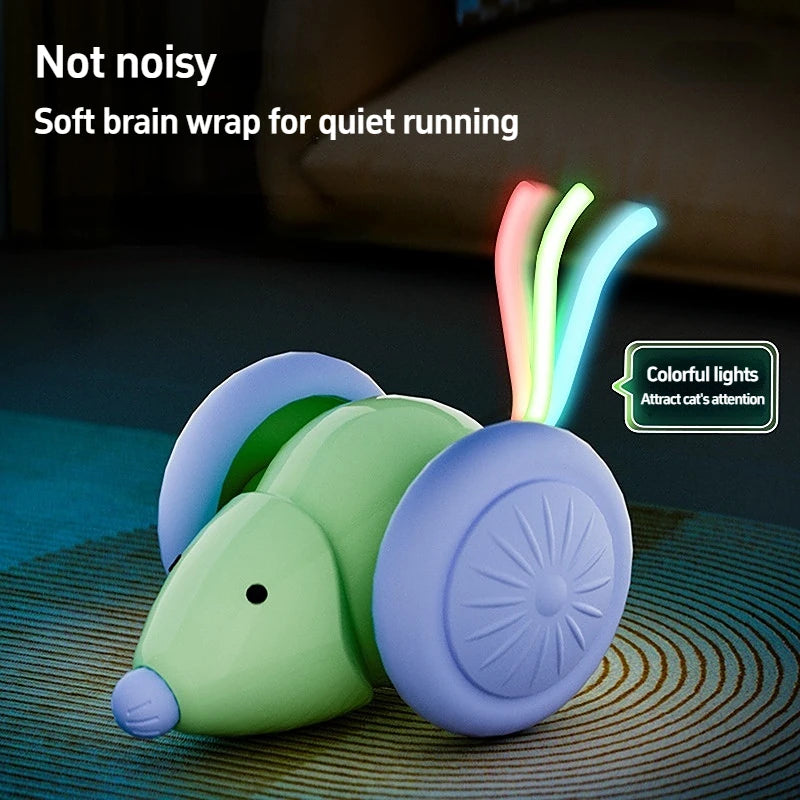 Interactive Cat Toy NZ | Electric Mouse Teaser with Obstacle Avoidance – PawNest