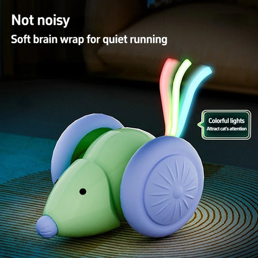 Interactive Cat Toy NZ | Electric Mouse Teaser with Obstacle Avoidance – PawNest