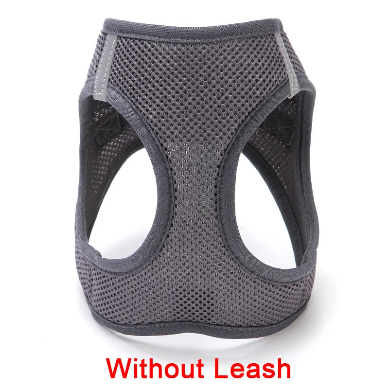 Adjustable Dog Harness Vest & Walking Leash NZ | Medium Dogs & Cats – PawNest