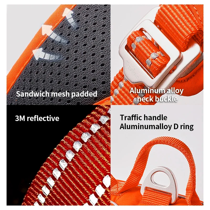 TrueLove No-Pull Reflective Dog Harness NZ | Adjustable & Comfortable Fit – PawNest